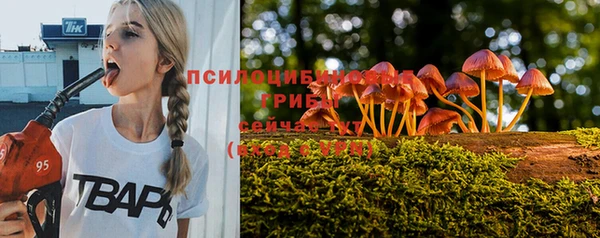 спайс Бородино