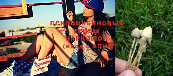 спайс Бородино
