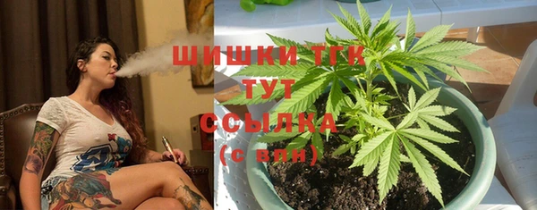 спайс Бородино