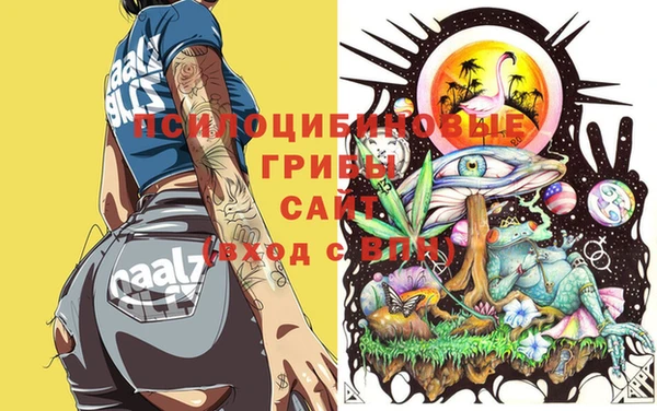 спайс Бородино