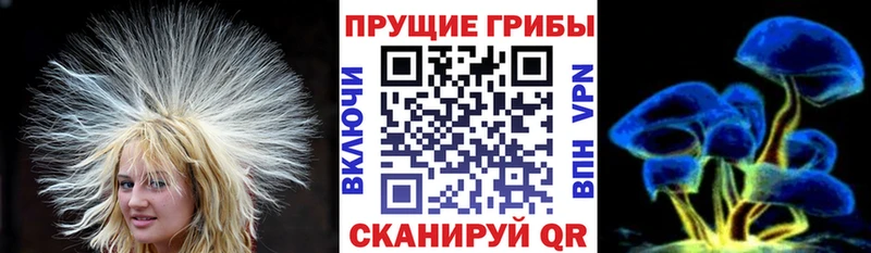 даркнет сайт  Сыктывкар  Псилоцибиновые грибы Psilocybe 